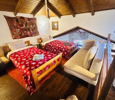Arachova Ski Chalet | CHALET MARIA livadi