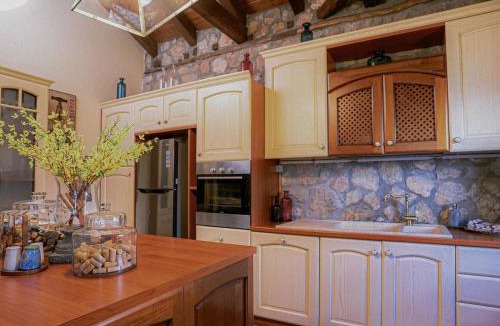 Kato Pedina Ski Chalet | Aselinos Forest Estate