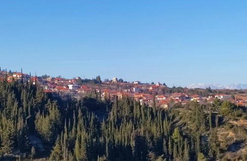 Corinthia Region House | Sto Dimeiko