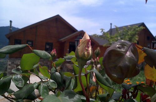 Feneos Ski Chalet | Pasithea Mountain Chalet