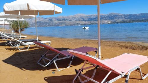 Paliki Apartment | Alekos Beach Houses-Alekos Beach Complex