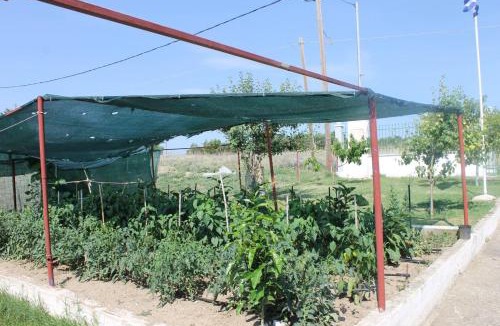 Kallikratia Villa | Farm Villa