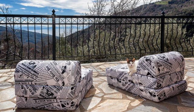 Drakeias Balcony Pelion in Drakia