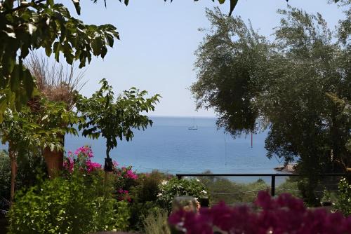 Villa Iva