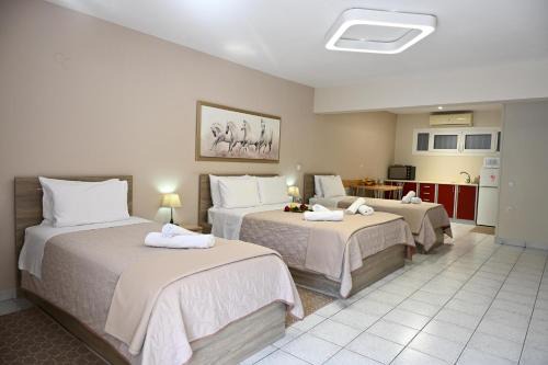 Hotel Vasilis Nafplio in Nafplio
