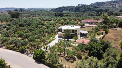 Ellio Apartments
