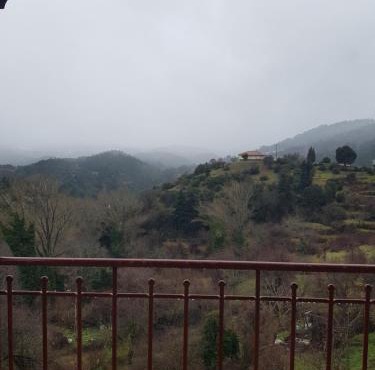 Petra & Elato Art Hotel